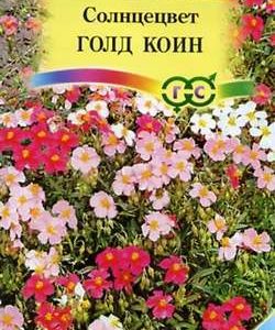 Солнцецвет монетолистный Голд Коин*, смесь 0,1 г сер. Альпийская горка