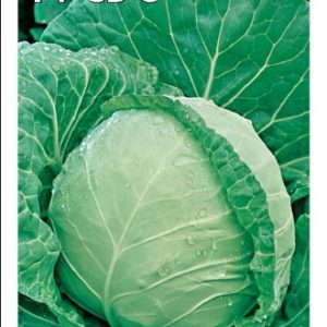 Капуста белокоч. СБ-3 F1 0,3 г для квашения