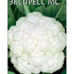 Капуста цветная Экспресс МС 0,2 г сер. Огород без хлопот