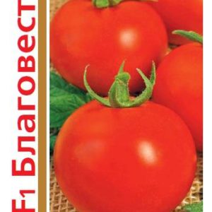 Томат Благовест F1 серия 1+1/25 шт. автор.
