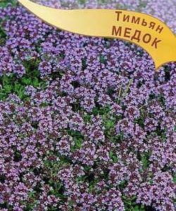 Тимьян ползучий (чабрец) Медок 0,25 г