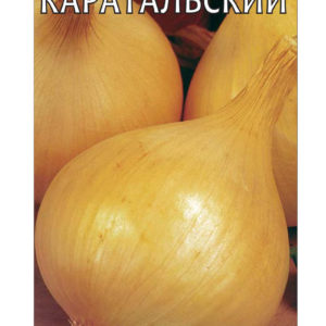 Лук репч. Каратальский 1,0 г сер. Традиция