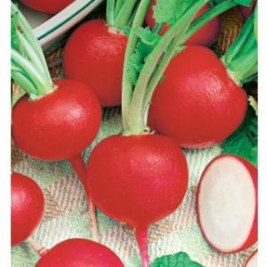 Редис Сакса РС 2,0 г сер. Огород без хлопот