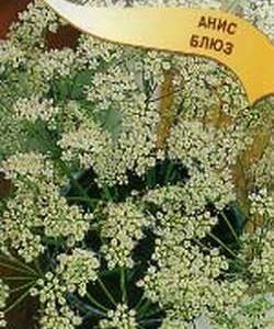 Анис Блюз 0,5 г