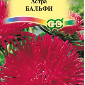 Астра Бальфи, игольчатая темно-роз. 0,3 г
