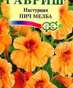 Настурция Пич Мелба 8 шт.