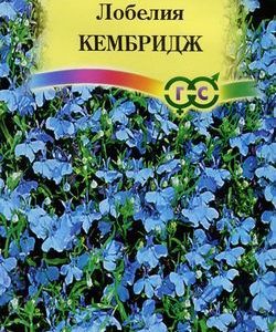 Лобелия Кембридж* 0,01 г