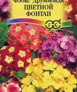 Флокс Цветной фонтан друммонди *, смесь 0,1 г