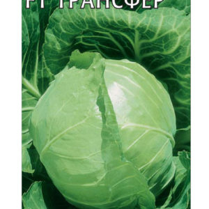 Капуста белокоч. Трансфер F1 0,3 г ранняя