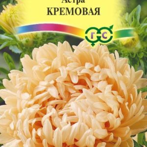 Астра Кремовая 0,3 г, пионовидная