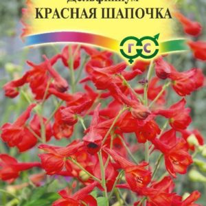 Дельфиниум Красная шапочка
