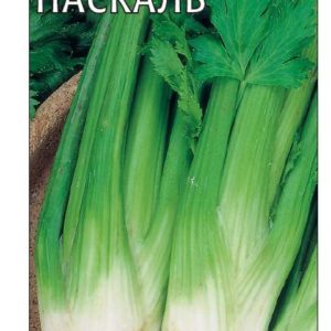 Сельдерей Паскаль черешковый 0,3 г