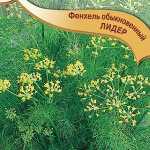 Фенхель обыкновенный Лидер 0,5 г