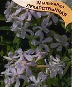Мыльнянка лекарственная 0,5 г