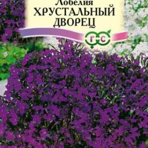 Лобелия Хрустальный дворец* 0,01 г