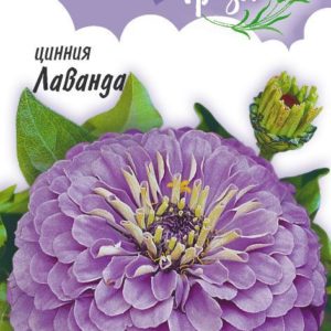 Цинния Лаванда 0,5 г серия Лавандовые грёзы