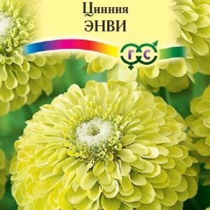 Цинния Энви изящная 0,5 г