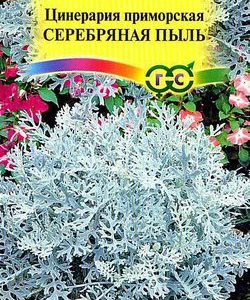 Цинерария приморская Серебряная пыль* 0,1 г