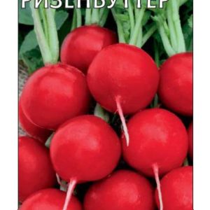 Редис Ризенбуттер 2,0 г Н10