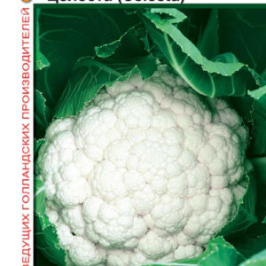 Капуста цветная Целеста 15 шт.(Голландия)