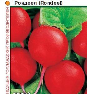 Редис Рондеел F1 1,0 г (Голландия)