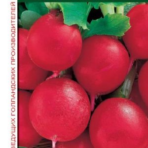 Редис Хелро 1,0 г (Голландия)