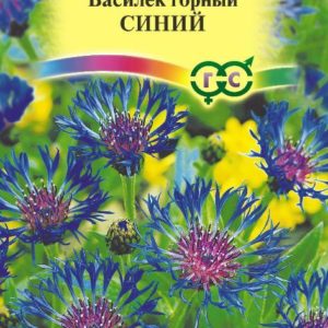 Василек Синий* , горный многол. 0,1 г