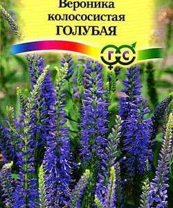 Вероника колосистая (голубая)* 0,1 г