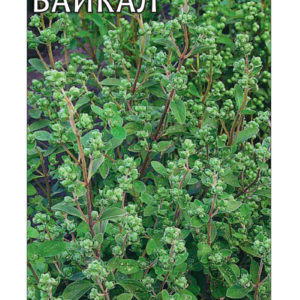 Майоран садовый Байкал* 0,1 г