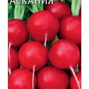 Редис Аскания (Германия) 1,0 г