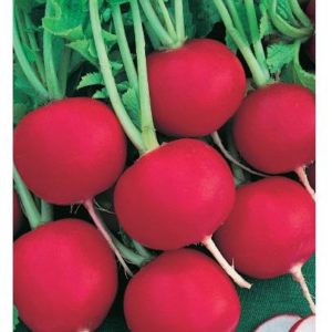 Редис Престо (Германия)1,0 г