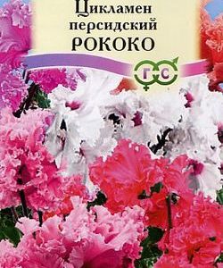 Цикламен Рококо*, смесь 3 шт.