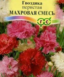 Гвоздика перистая махровая Сказка*, смесь 0,1 г сер. Альпийская горка