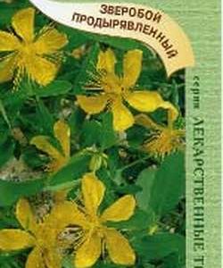 Зверобой продырявленный Солнечный* 0,1 г