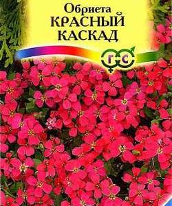 Обриета Красный каскад* 0,05 г сер. Альпийская горка