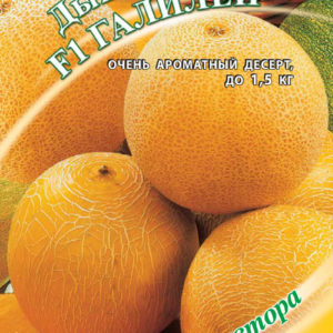Дыня Галилей F1 15 шт. автор.