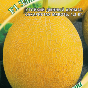 Дыня Злато Скифов F1 15 шт. автор.