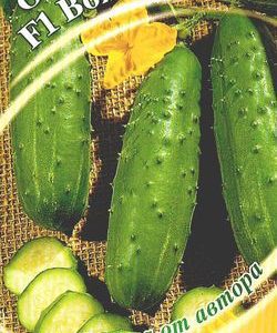 Огурец Вояж F1 10 шт. корнишон автор.