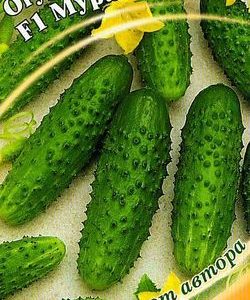 Огурец Мурашка F1 10 шт.корнишон автор.