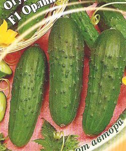 Огурец Орлик F1 10 шт. автор.