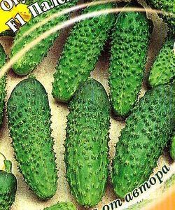 Огурец Палех F1 10 шт. автор.