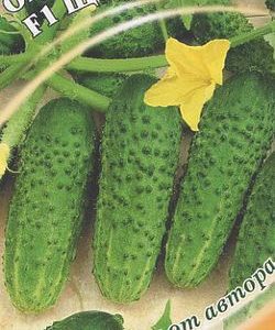 Огурец Щедрик F1 10 шт.пикуль автор.