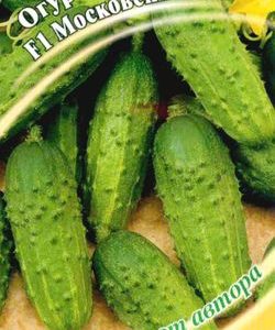 Огурец Московский Пижон F1 10 шт. автор.