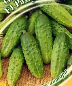 Огурец Разгуляй F1 10 шт. автор.