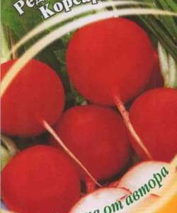 Редис Корсар 2,0 г автор.