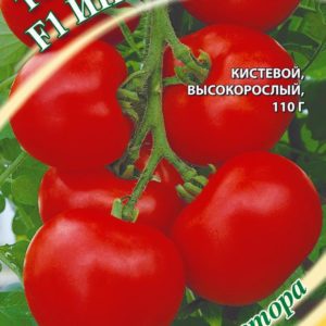 Томат Интуиция F1 12 шт. автор.