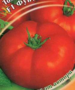 Томат Фунтик F1 12 шт. автор.