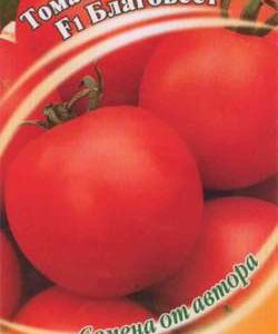 Томат Благовест F1 12 шт. автор.