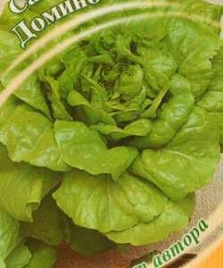 Салат Домино 1,0 г зелено-желтый автор.