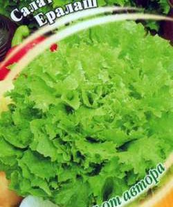 Салат Ералаш 1,0 г листовой,зеленый автор.